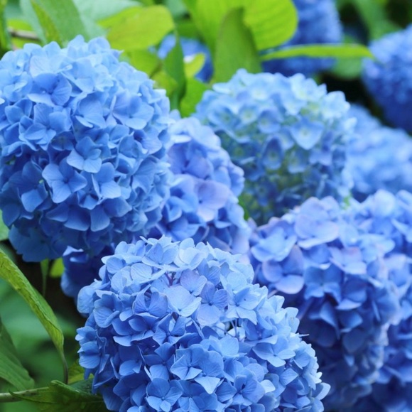 Welcome to ReStyled by Ally’s Closet!!! Like to bookmark!! - Picture 1 of 1